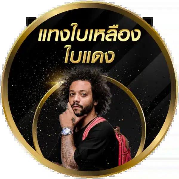 ผลบอลภาษาไทยวันนี้ อัปเดตผลการแข่งขันสะดวกทุกเวลา