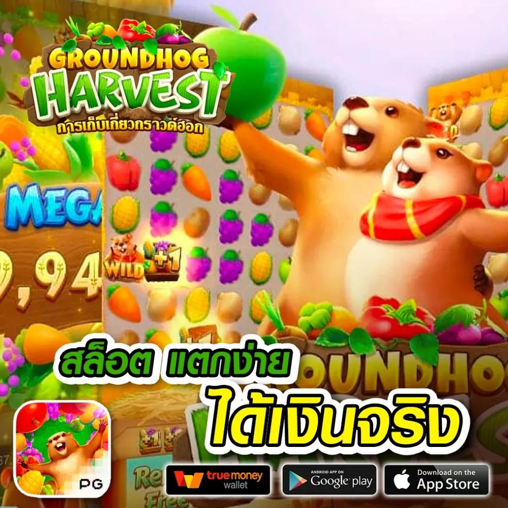 สมัครเล่น Topone987 คาสิโนออนไลน์อันดับ 1 รวมทุกเกมฮิตในไทย
